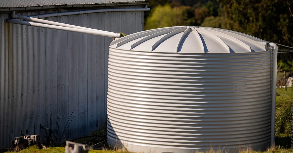 Rainwater tank fed by pipes from a shed’s gutters among tree ferns, showing how a business IT strategy helps you capture more revenue